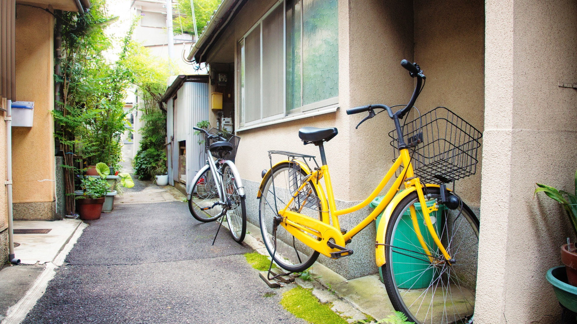 日本の自転車ルールが大きく変更｜2024年・2026年の法改正と罰則をわかりやすく解説